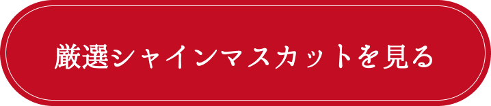 厳選シャインマスカットを見る