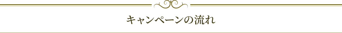 キャンペーンの流れ