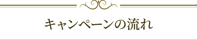 キャンペーンの流れ