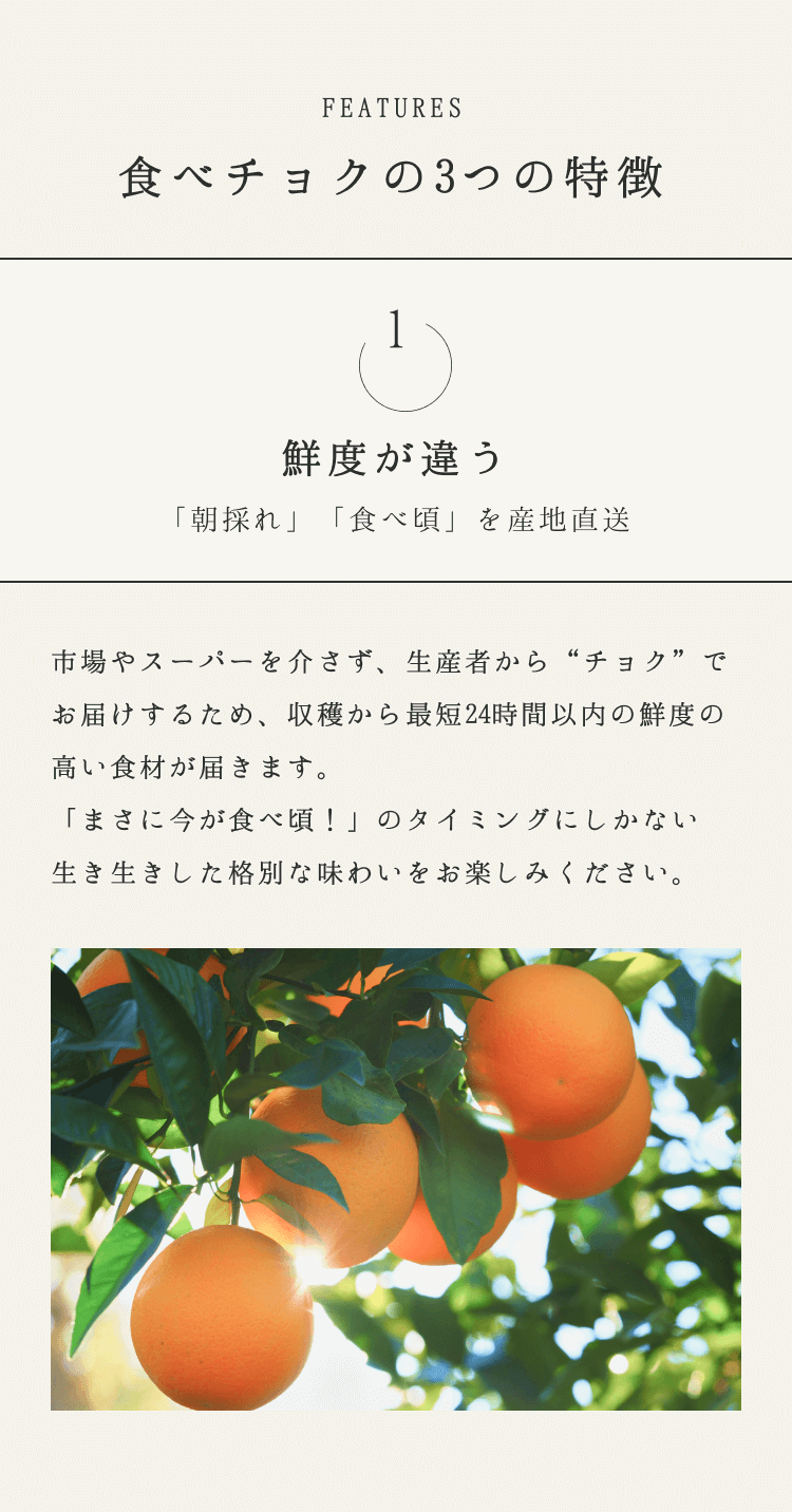 食べチョクの3つの特徴 1.鮮度が違う 「朝採れ」「食べ頃」を産地直送