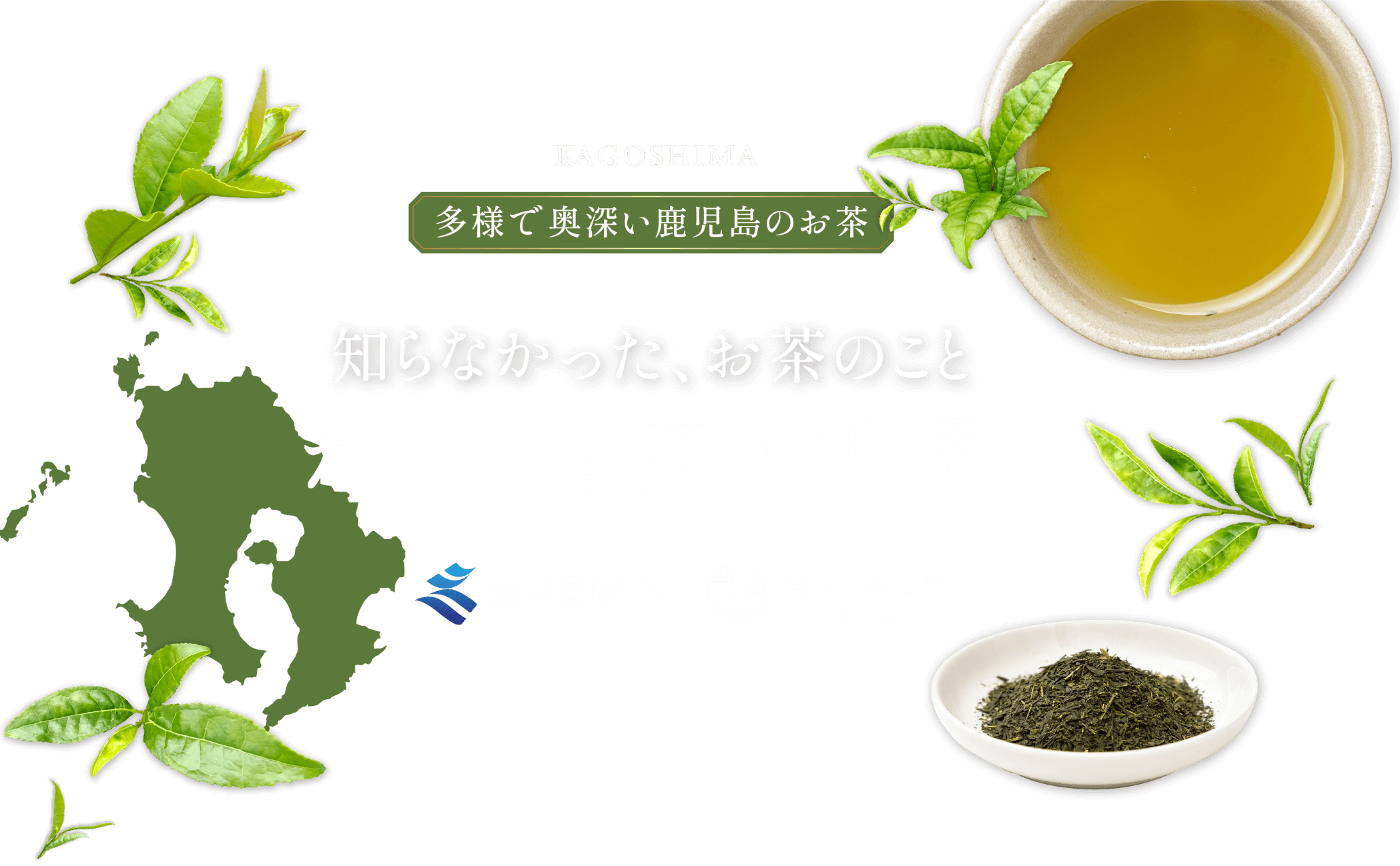 KAGOSHIMA 多様で奥深い鹿児島のお茶 知らなかった、お茶のこと かごしま茶の世界 鹿児島県×食べチョク