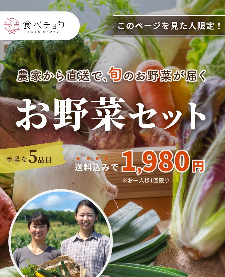 このページを見た人限定!農家から直送で、旬のお野菜が届くお野菜セット手軽な5品目 送料込みで1,980円 ※お一人様1回限り