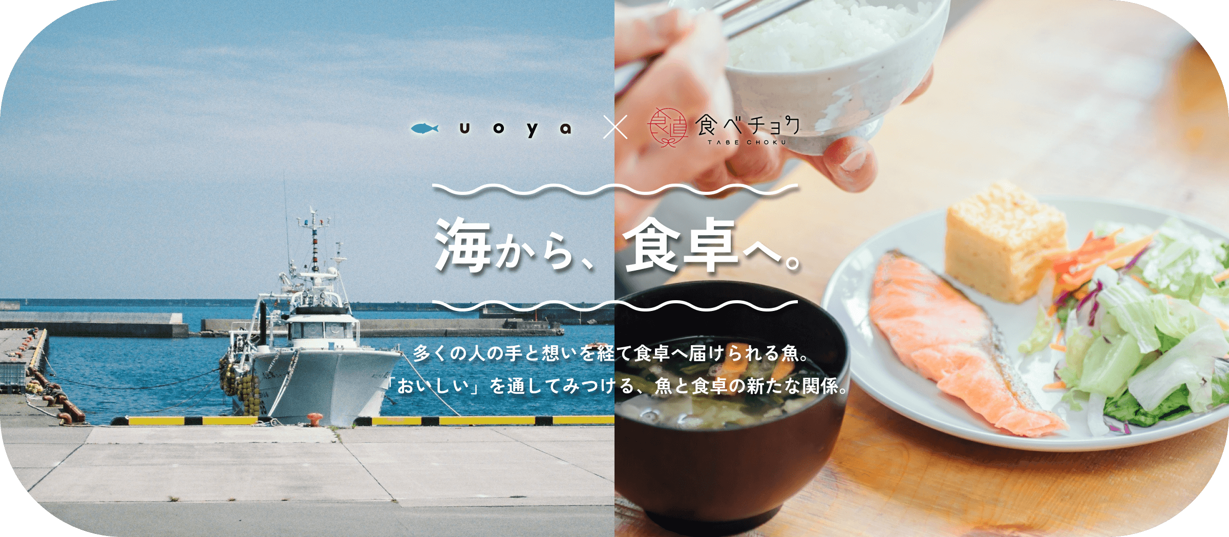 UOYA×食べチョク 海から、食卓へ。多くの人の手と想いを経て食卓へ届けられる魚。「おいしい」を通してみつける、魚と食卓の新たな関係。