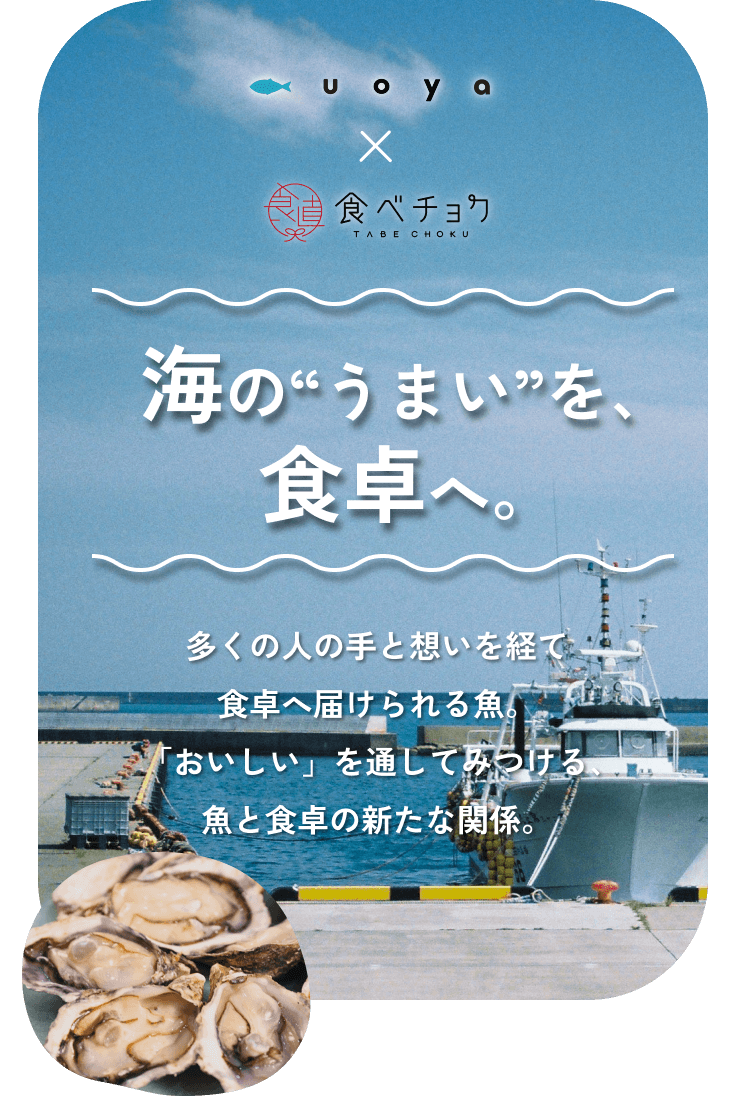 UOYA×食べチョク 海から、食卓へ。多くの人の手と想いを経て食卓へ届けられる魚。「おいしい」を通してみつける、魚と食卓の新たな関係。