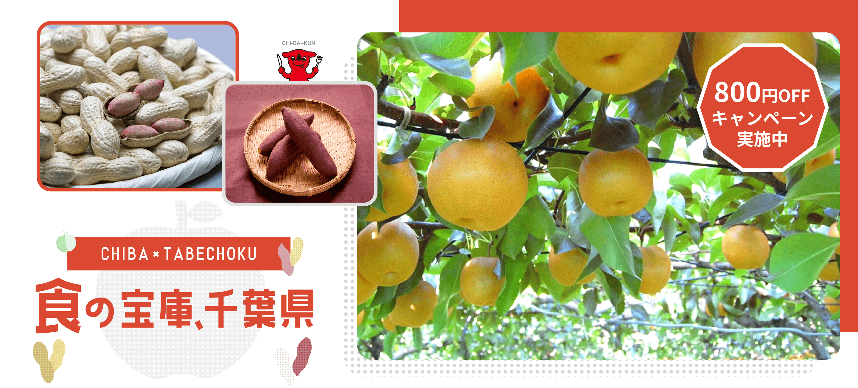 CHIBA×TABECHOKU 食の宝庫、千葉県