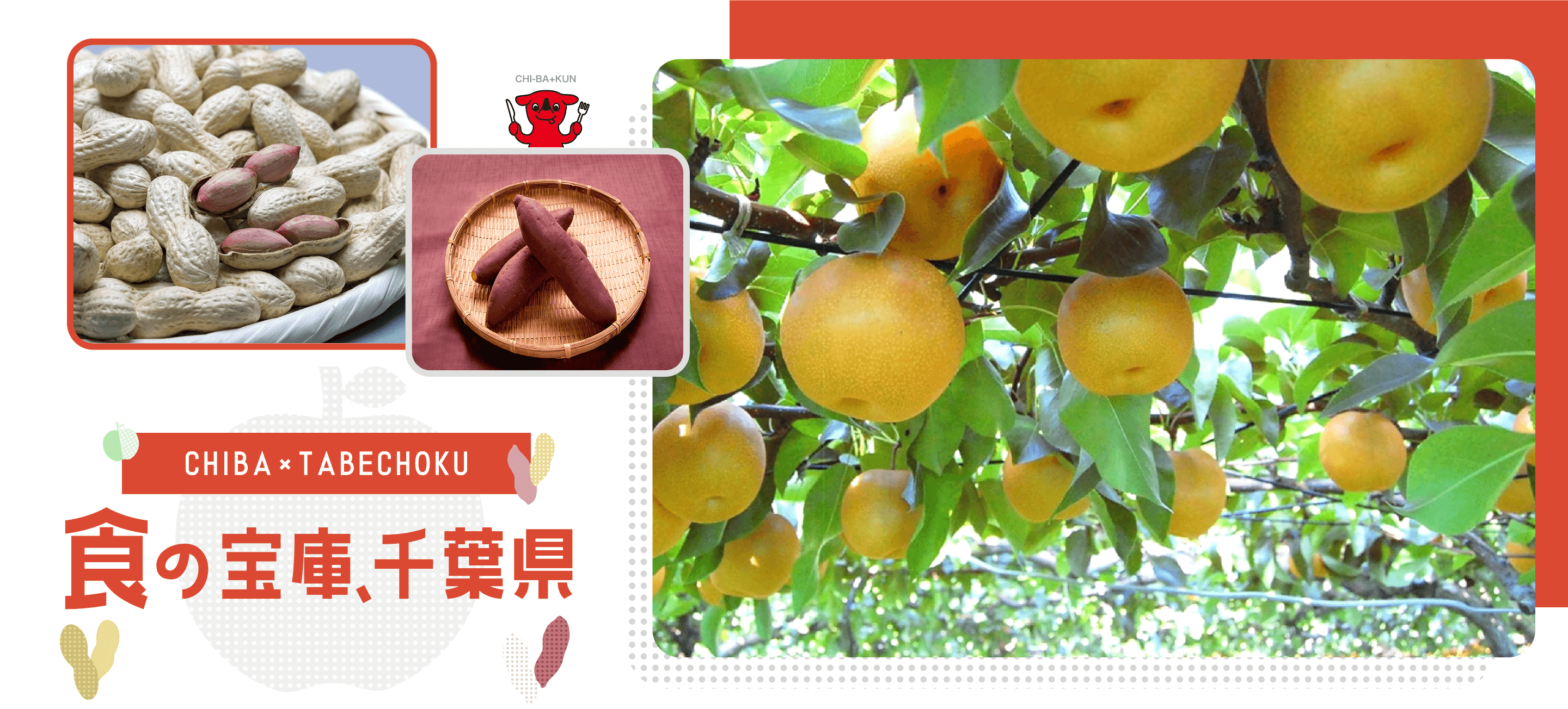 CHIBA×TABECHOKU 食の宝庫、千葉県