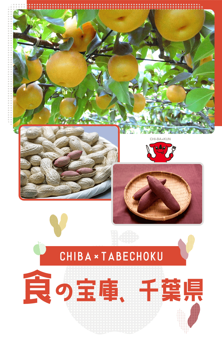 CHIBA×TABECHOKU 食の宝庫、千葉県