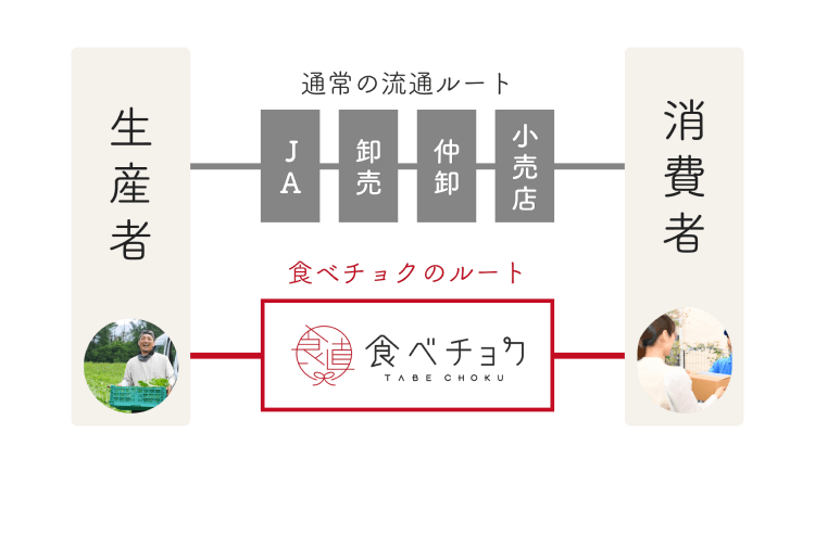 食べチョクのルート