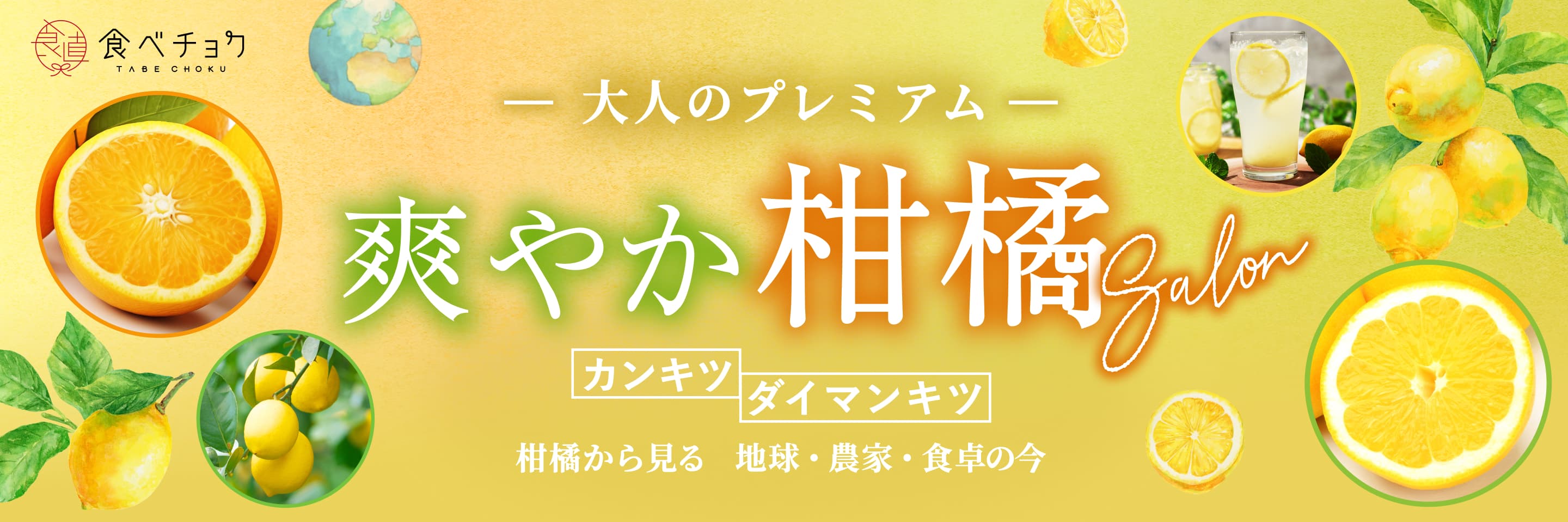爽やか柑橘Salon 大人のプレミアムみかん カンキツ ダイマンキツ