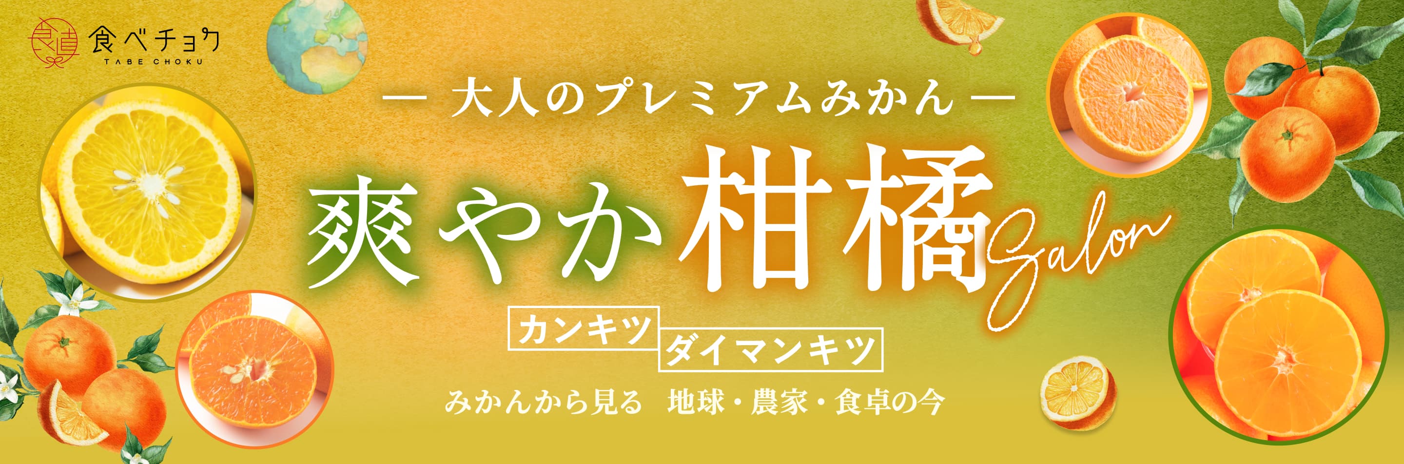 爽やか柑橘Salon 大人のプレミアムみかん カンキツ ダイマンキツ