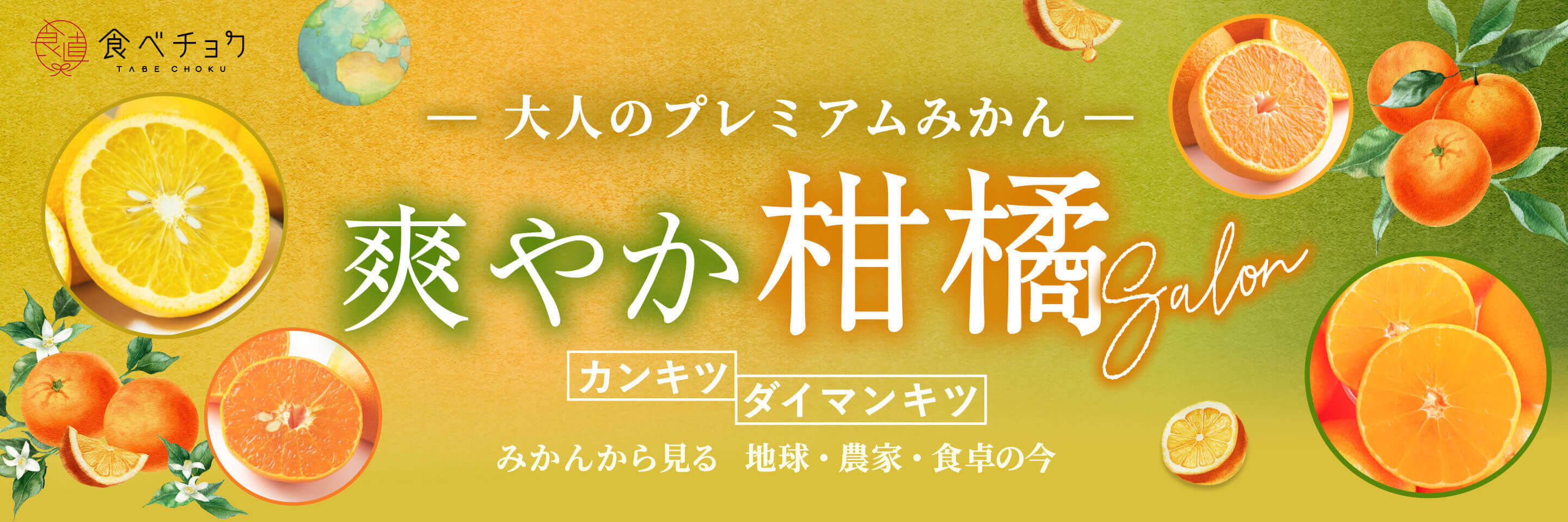 爽やか柑橘Salon 大人のプレミアムみかん カンキツ ダイマンキツ
