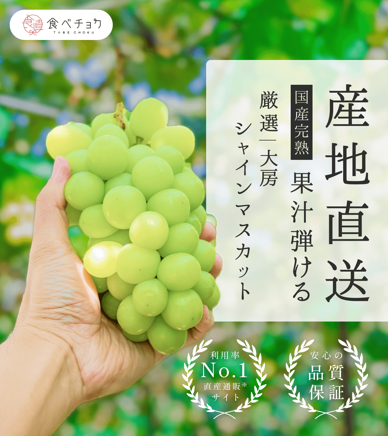 産地直送 国産完熟 果汁弾ける 厳選 大房シャインマスカット