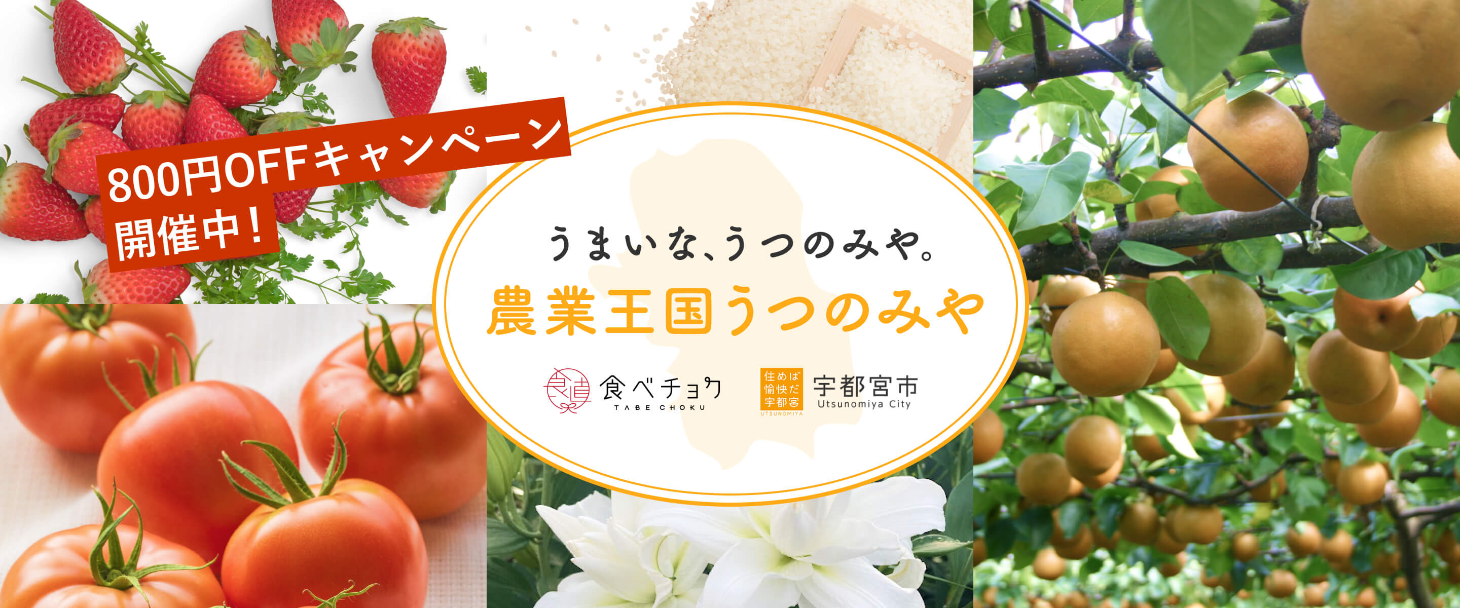 うまいな、うつのみや。農業王国うつのみや