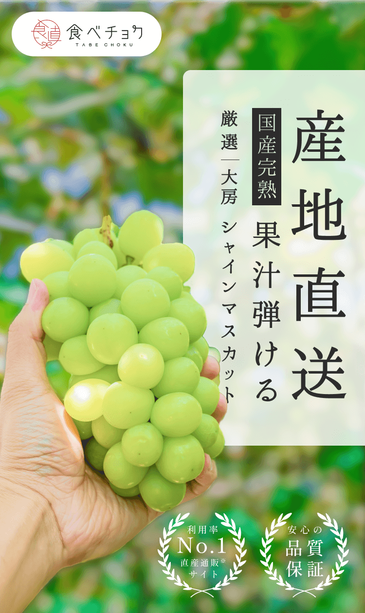 1000円クーポン推奨 食糧補充 Foil4枚日本語 Googeer Shilajit Dietary Supplement 膳食补充剂-GOH02-A025