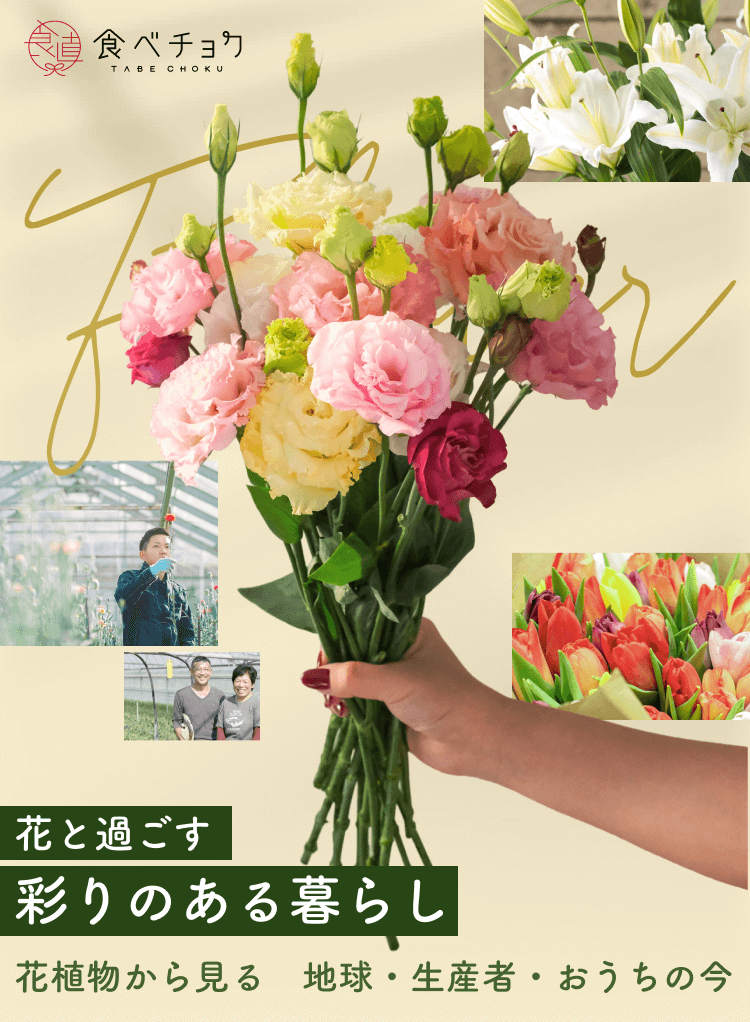 花と過ごす 彩りのある暮らし 花植物から見る　地球・生産者・おうちの今