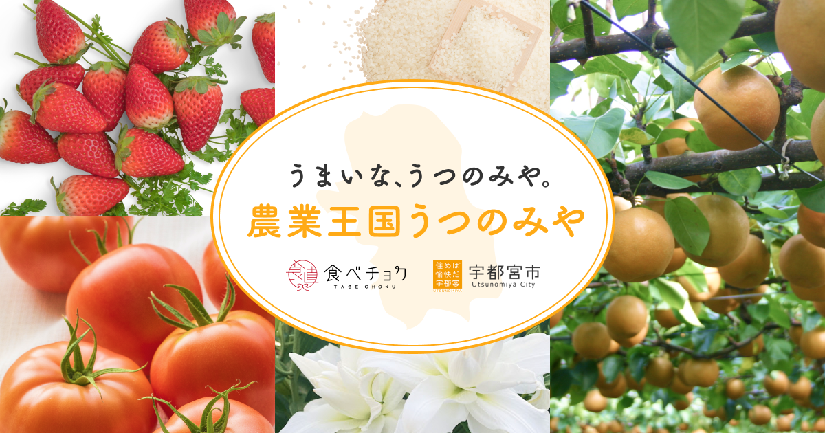 値下げ　うつのみや一発化成　6袋　農業 値下げ うつのみや一発化成 6袋 農業