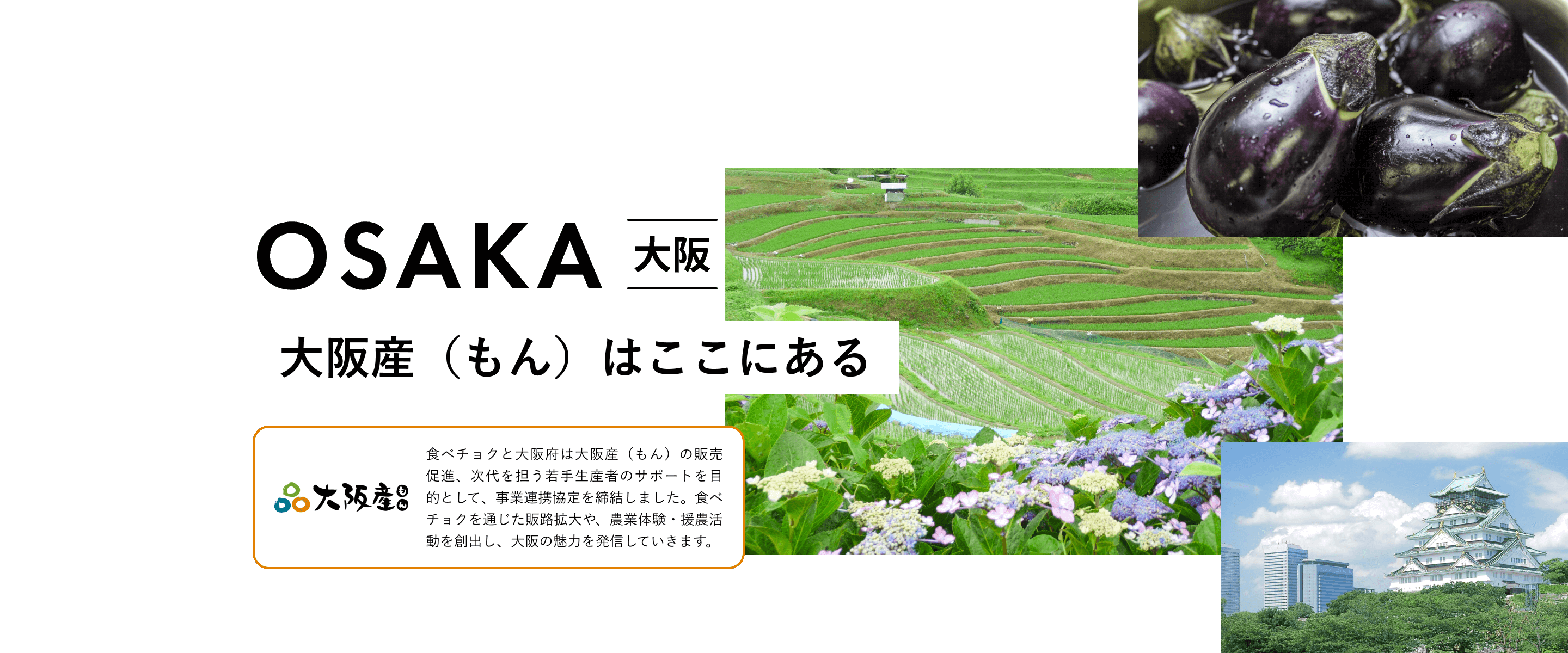 OSAKA 大阪 大阪産（もん）はここにある