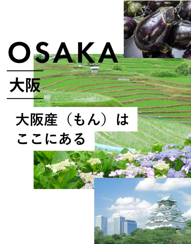 OSAKA 大阪 大阪産（もん）はここにある