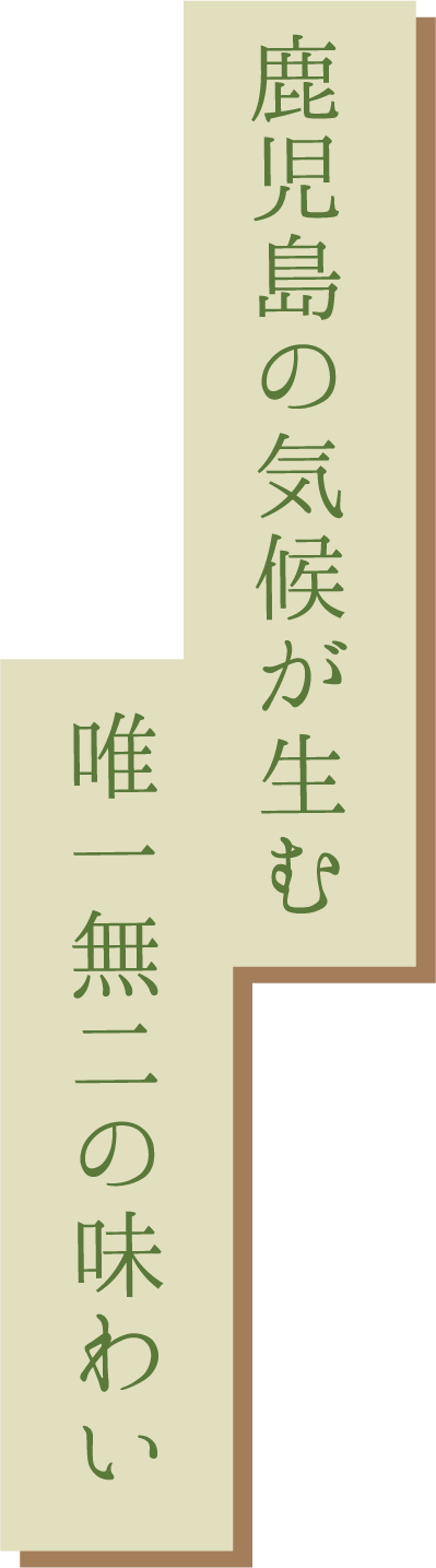 鹿児島の気候が生む唯一無二の味わい