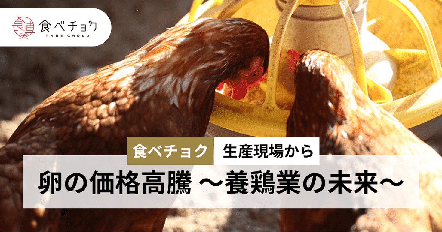 卵の価格高騰 養鶏業の未来