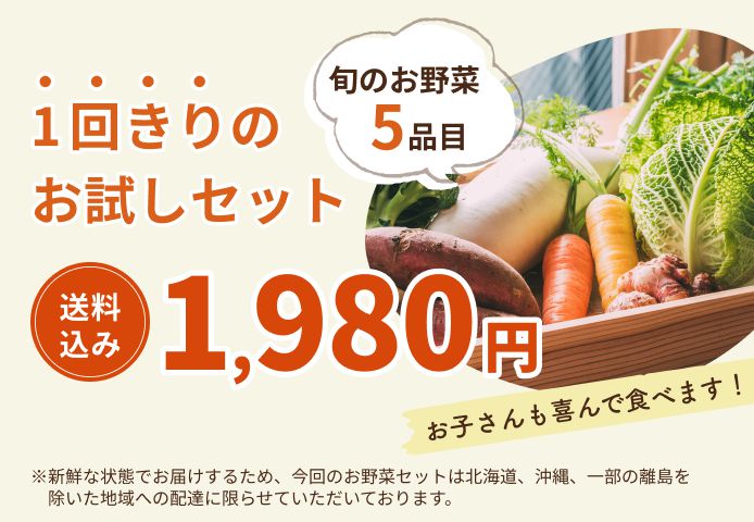 1回きりのお試しセット 送料込み1,980円 ※新鮮な状態でお届けするため、今回のお野菜セットは北海道、沖縄、一部の離島を除いた地域への配達に限らせていただいております