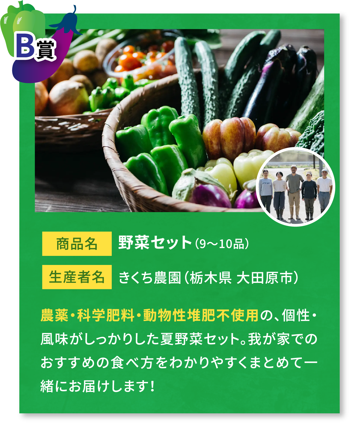 B賞 商品名 野菜セット（9〜10品）生産者名 きくち農園（栃木県 大田原市）農薬・科学肥料・動物性堆肥不使用の、個性・風味がしっかりした夏野菜セット。我が家でのおすすめの食べ方をわかりやすくまとめて一緒にお届けします！