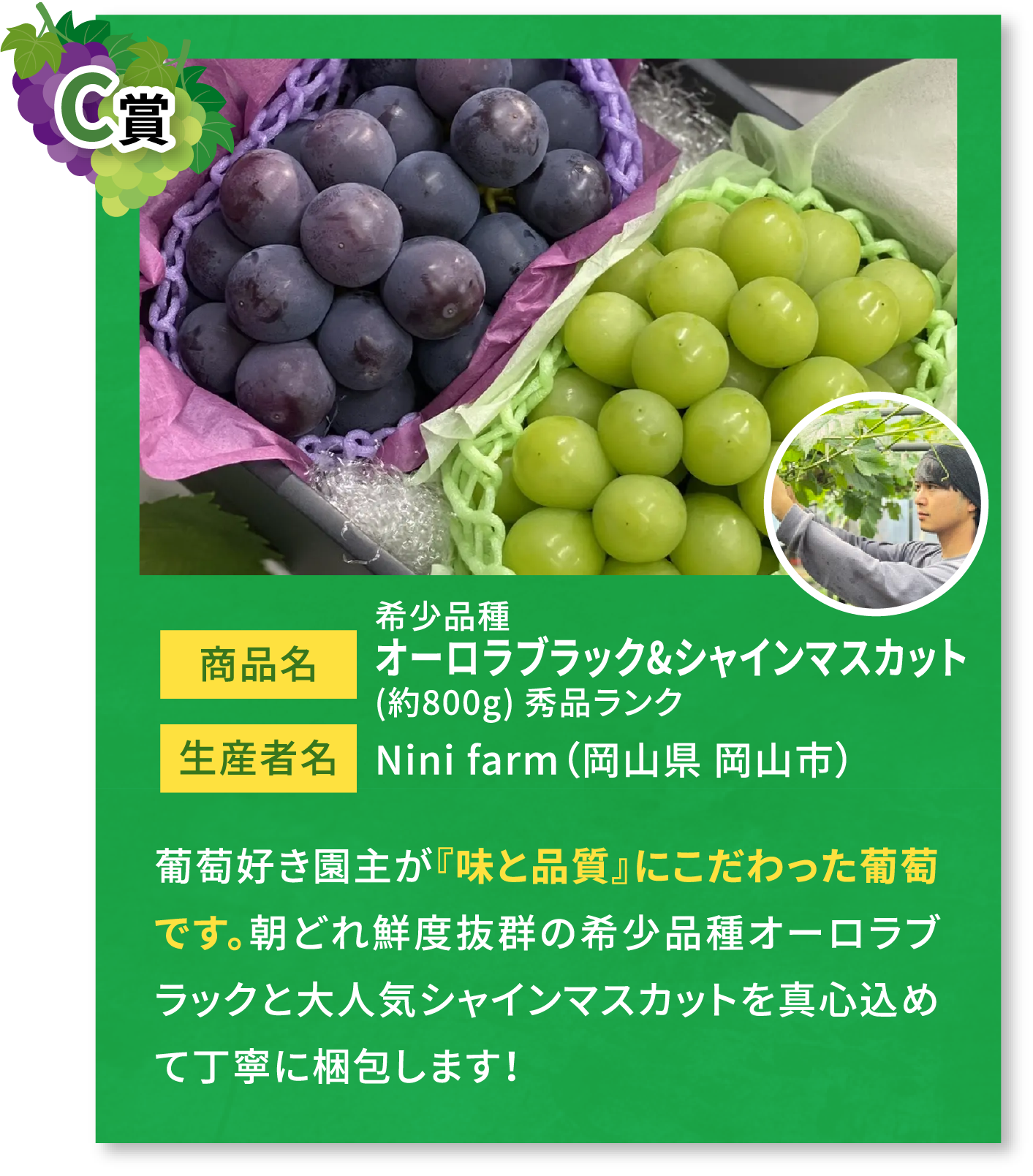 C賞 商品名 希少品種オーロラブラック&シャインマスカット(約800g) 秀品ランク Nini farm（岡山県 岡山市）生産者名 葡萄好き園主が『味と品質』にこだわった葡萄です。朝どれ鮮度抜群の希少品種オーロラブラックと大人気シャインマスカットを真心込めて丁寧に梱包します！