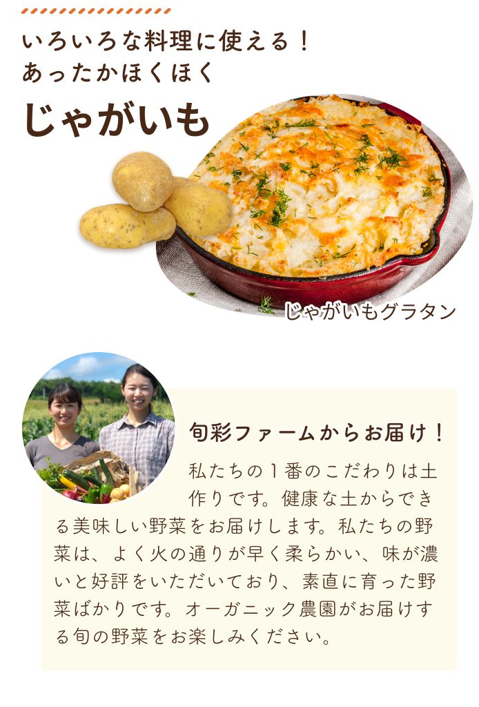 いろいろな料理に使える!あったかほくほくじゃがいも