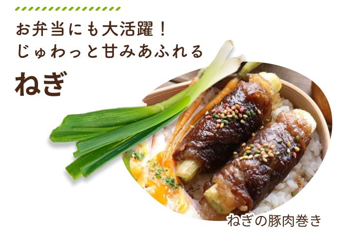 お弁当にも大活躍!じゅわっと甘みあふれるねぎ