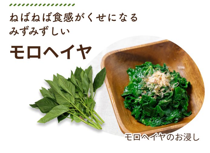 ねばねば食感がくせになるみずみずしいモロヘイヤ